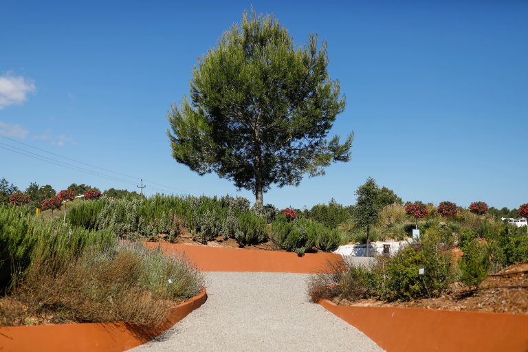 Habitat Forestal