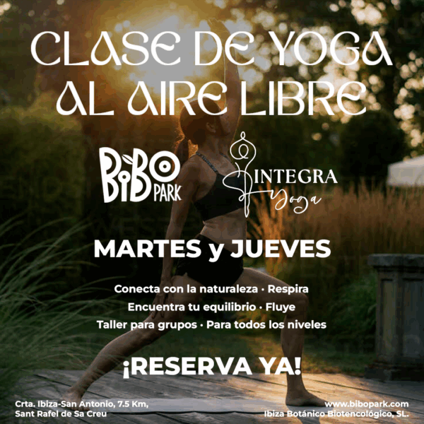 Clases de Yoga en Ibiza - Bibo Park x Integra Yoga