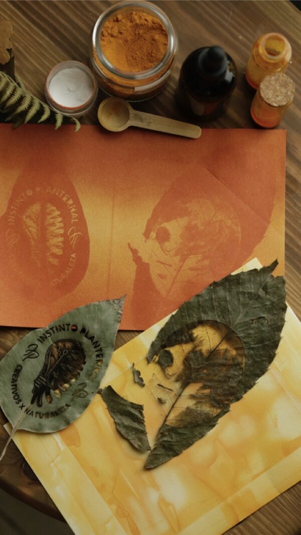 Taller Creativo de Impresión Vegetal - Antotipias y Gyotaku Botánico - Imagen 6