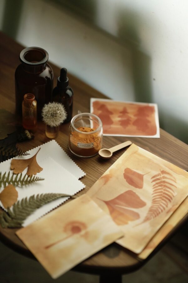 Taller Creativo de Impresión Vegetal - Antotipias y Gyotaku Botánico - Imagen 8