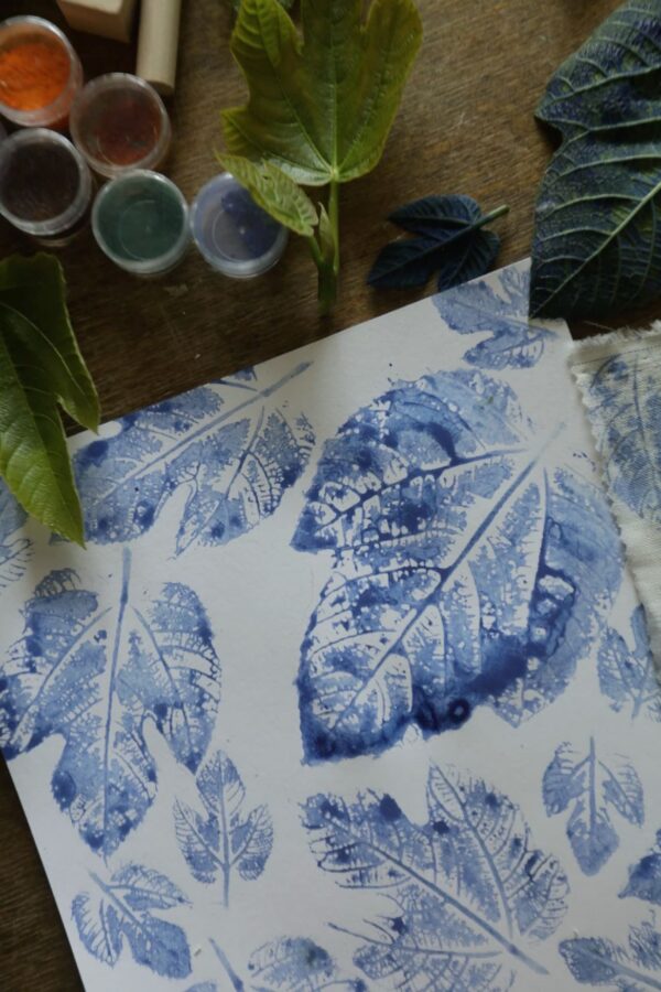 Taller Creativo de Impresión Vegetal - Antotipias y Gyotaku Botánico - Imagen 3