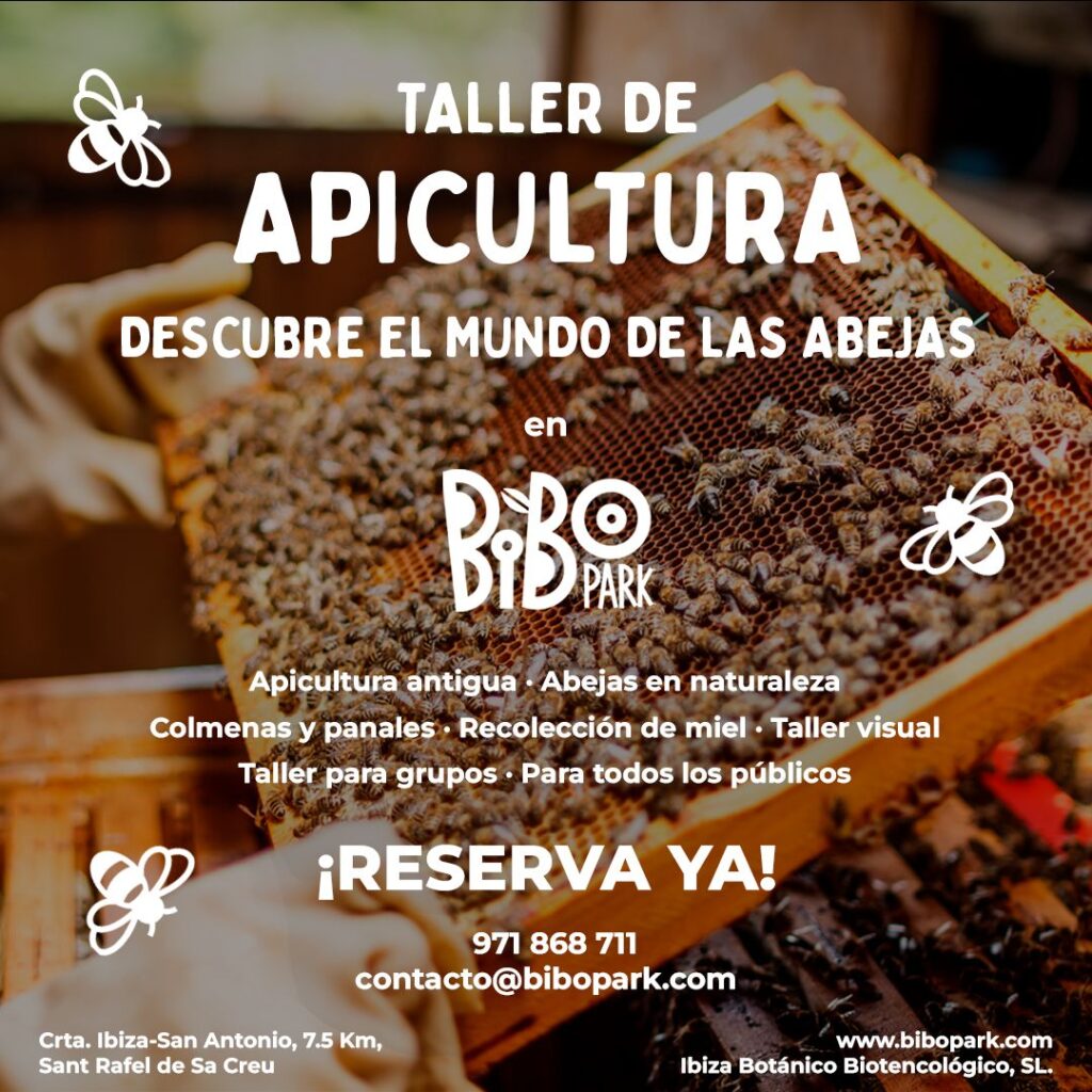 TallerApicultura