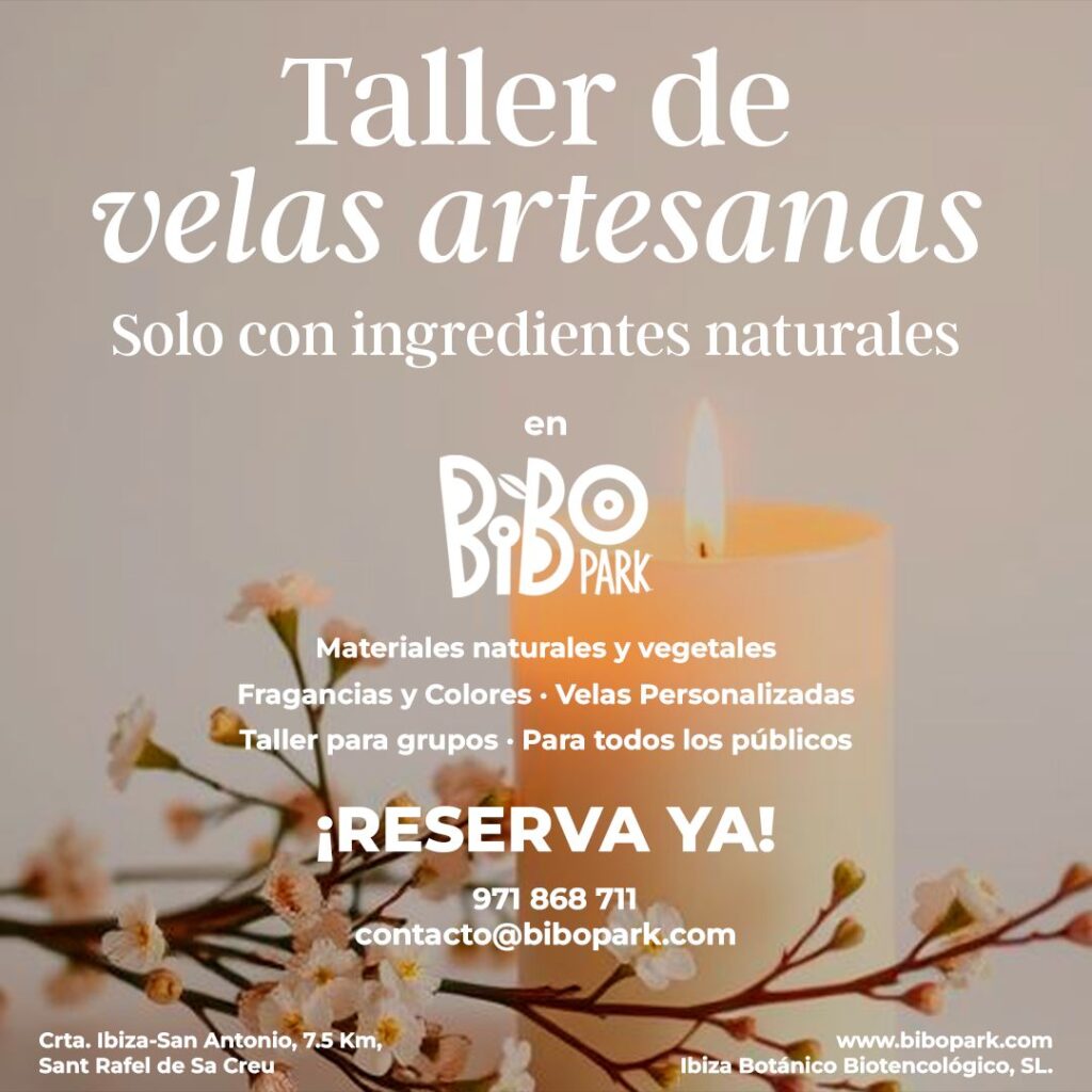 TallerVelasss