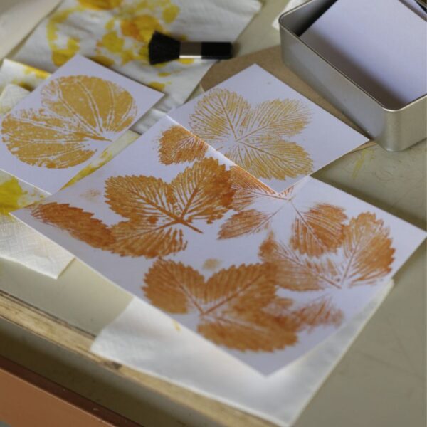 Taller Creativo de Impresión Vegetal - Antotipias y Gyotaku Botánico