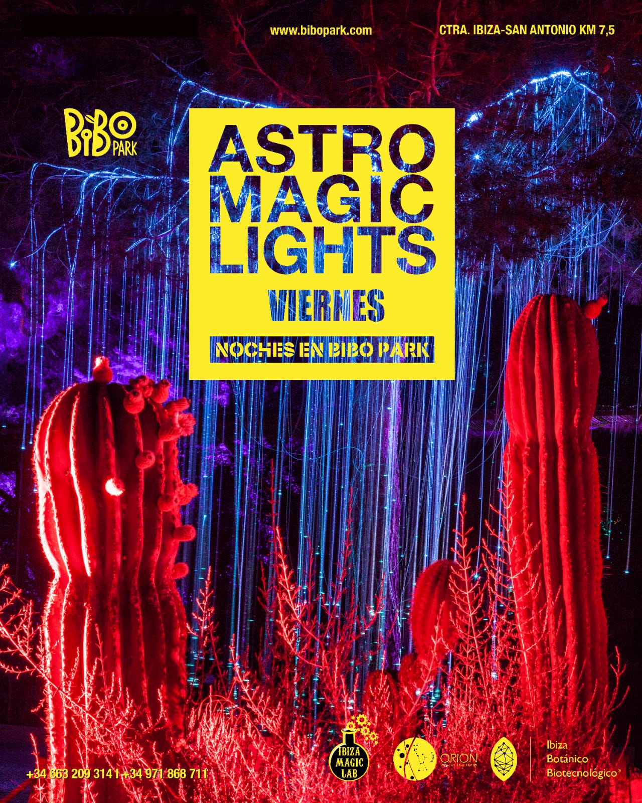 ASTRO MAGIC LIGHTS