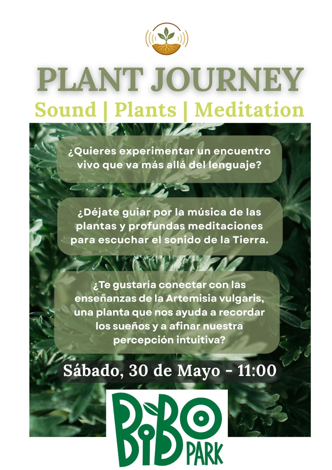 Plant Journey | Música con Plantas, Meditación y Chi Kung - Imagen 2