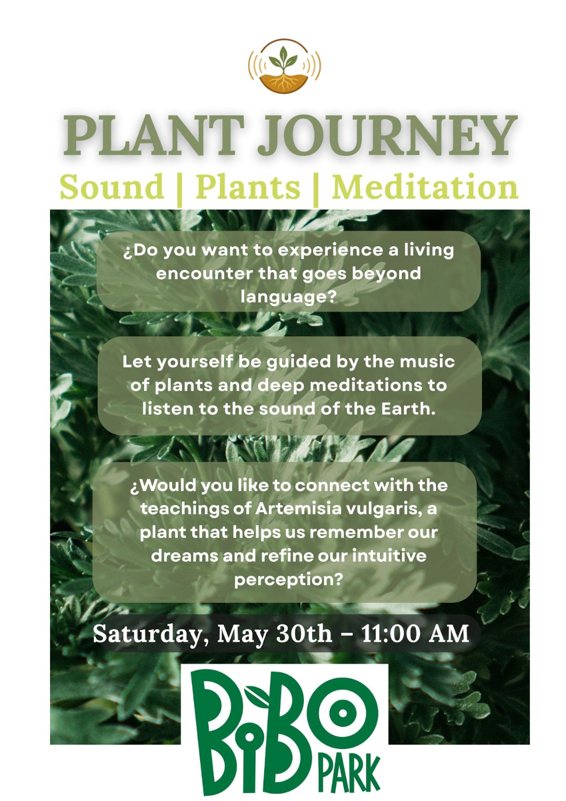Plant Journey | Música con Plantas, Meditación y Chi Kung - Imagen 4