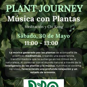 Plant Journey | Música con Plantas, Meditación y Chi Kung