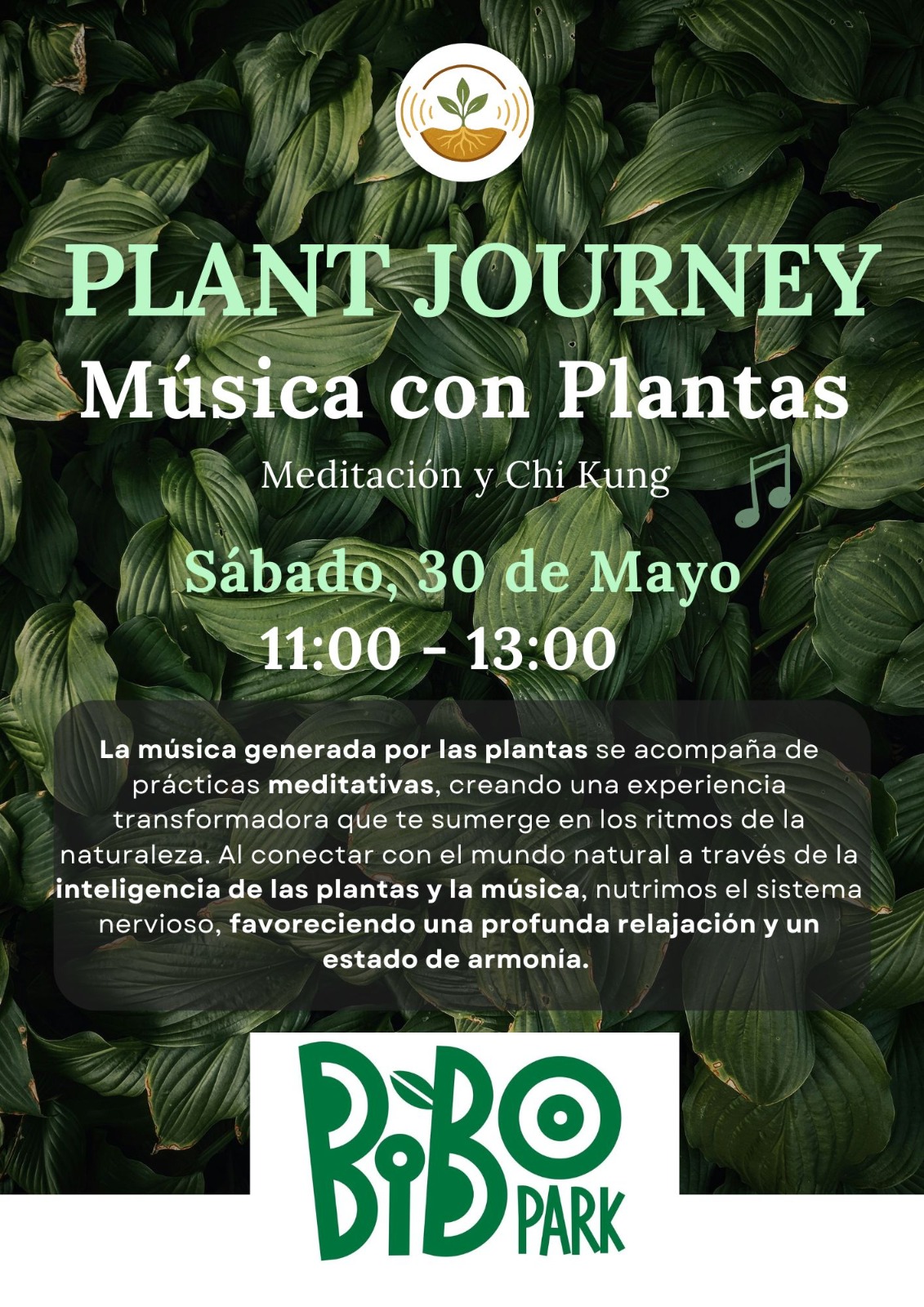 Plant Journey | Música con Plantas, Meditación y Chi Kung