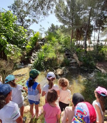 habitat d'aigua dolça 2