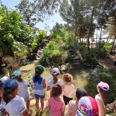 habitat d'aigua dolça 2
