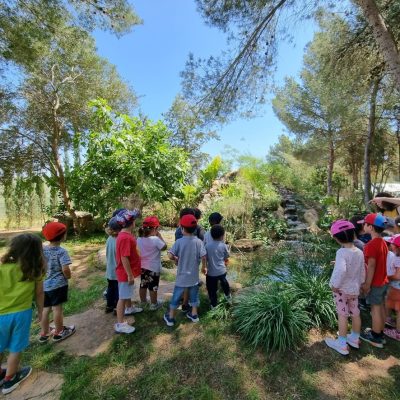 habitat d'aigua dolça 4
