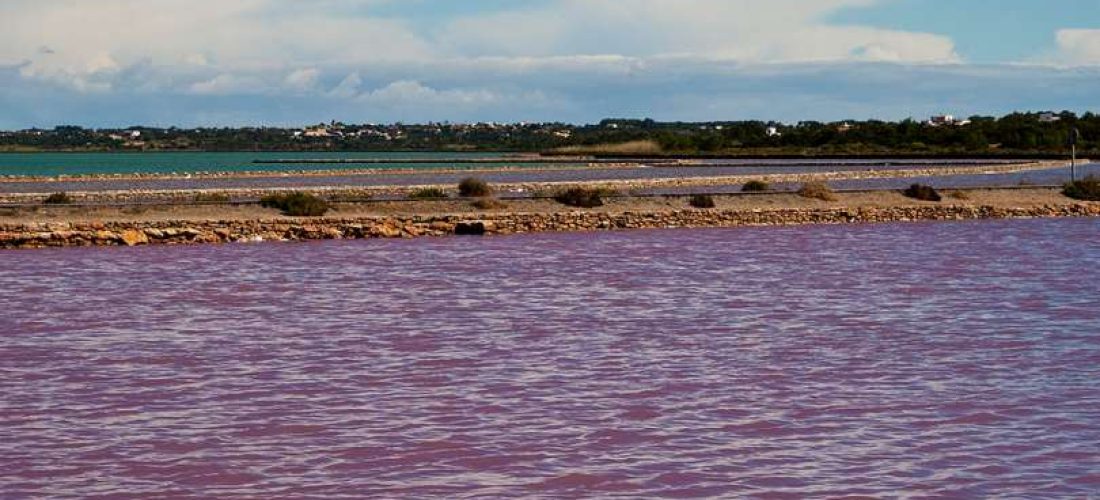 ses salines ibiza