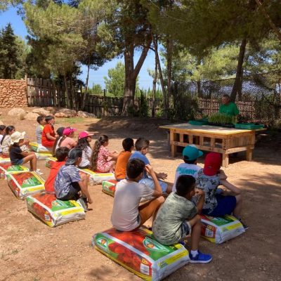 taller plantació 2