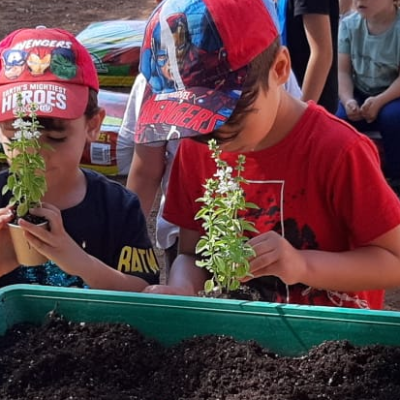 taller plantació 6